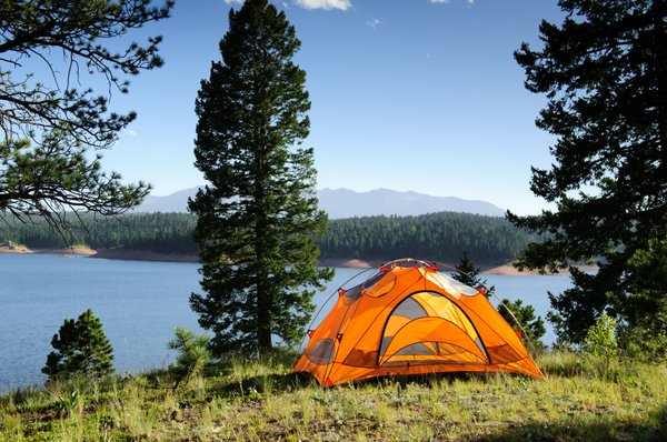 Camping 3 étoiles à brem-sur-mer : confort et nature aux logeries