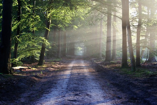 Quelles sont les hébergements proposées aux familles par les campings nature et écologiques ?