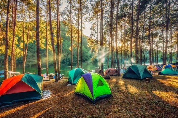 Top 3 des campings à Hyères où être au cœur de la ville
